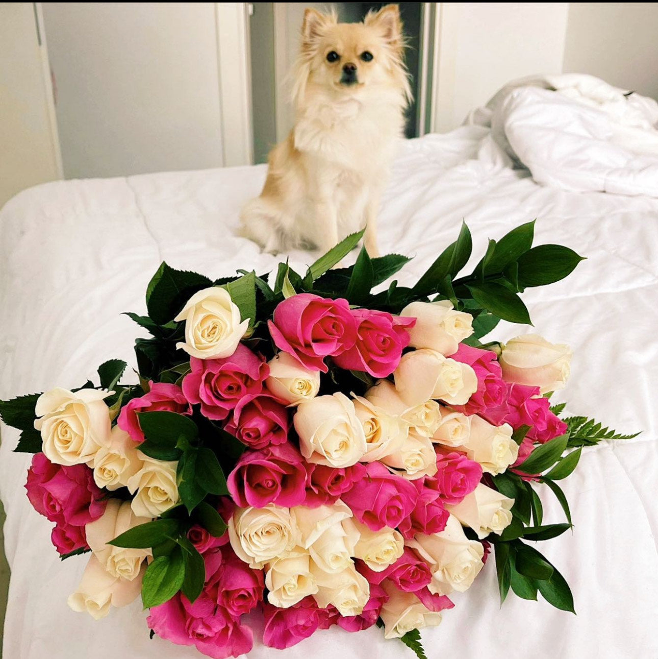 50 Pink and White Rose Bouquet