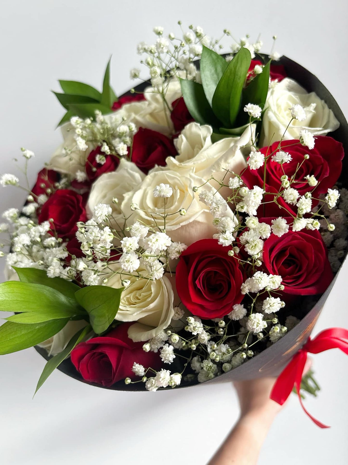 "Amore" 24 Red & White