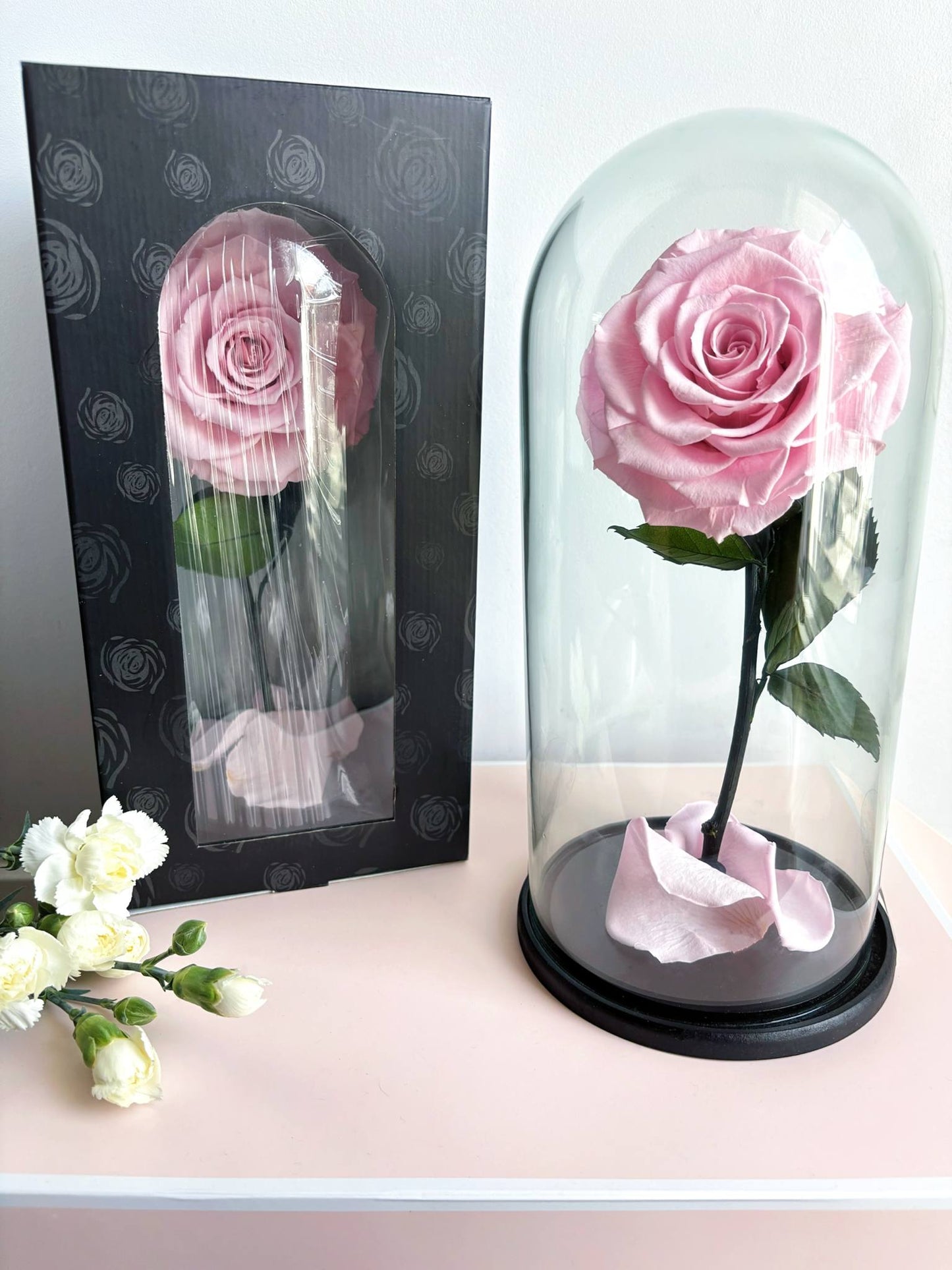 "Beauty and The Beast" Pink Eternal Rose.