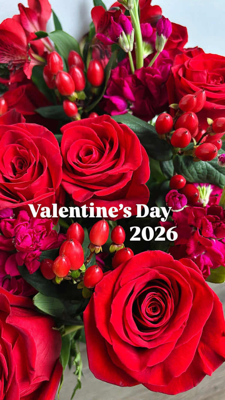 Valentine's Collection 2026