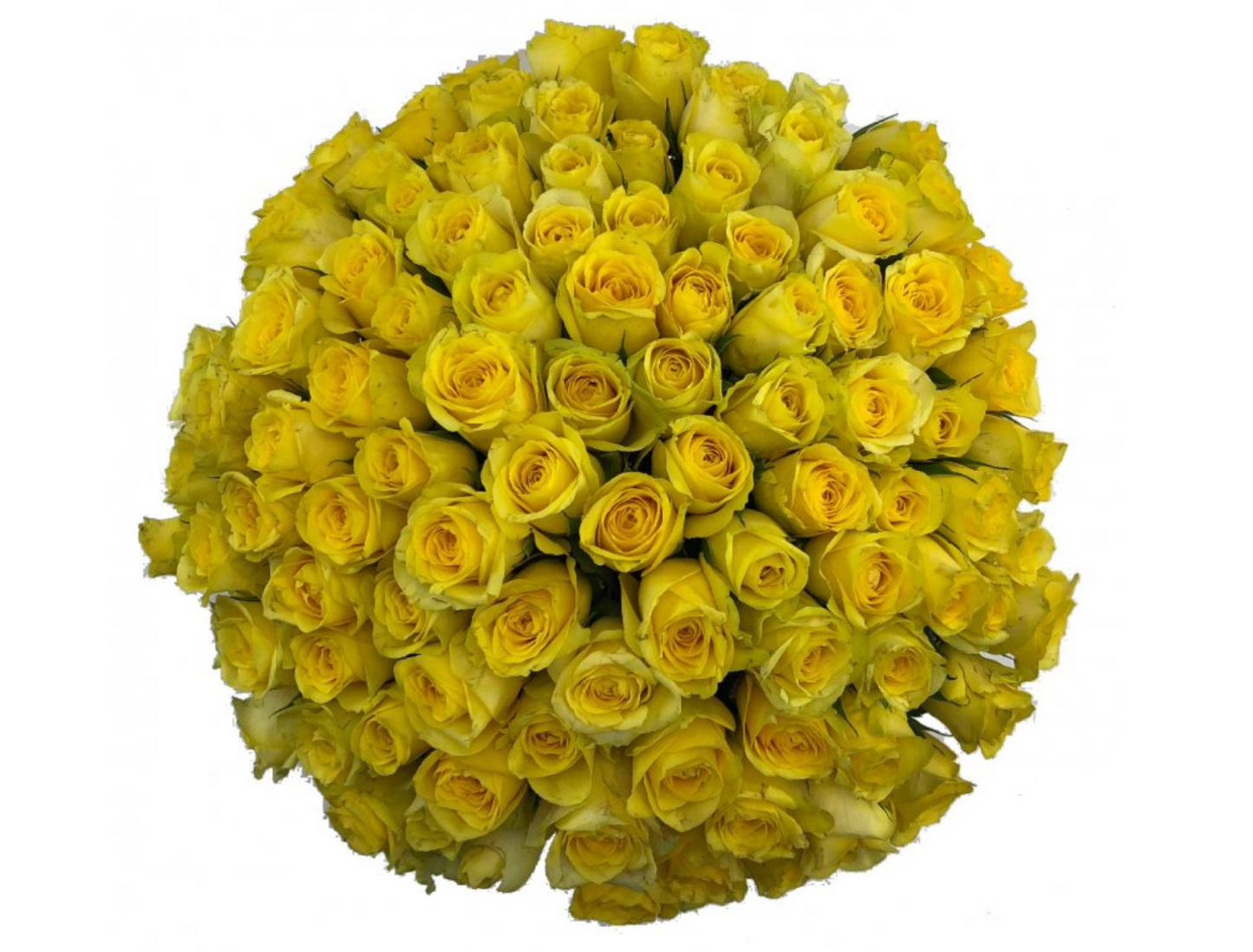 100 Yellow Rose Bouquet