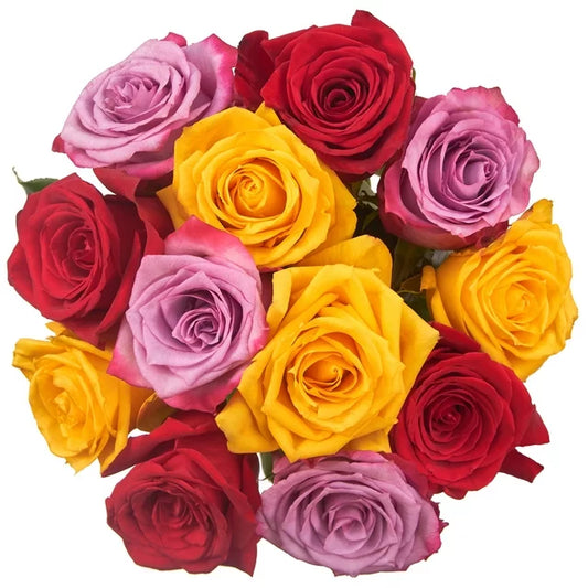 12 Multicolour Rose Bouquet