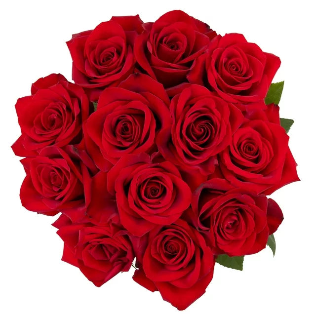 12 Red Rose Bouquet