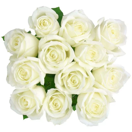 12 White Rose Bouquet