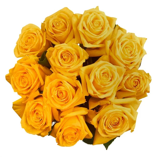 12 Yellow Rose Bouquet