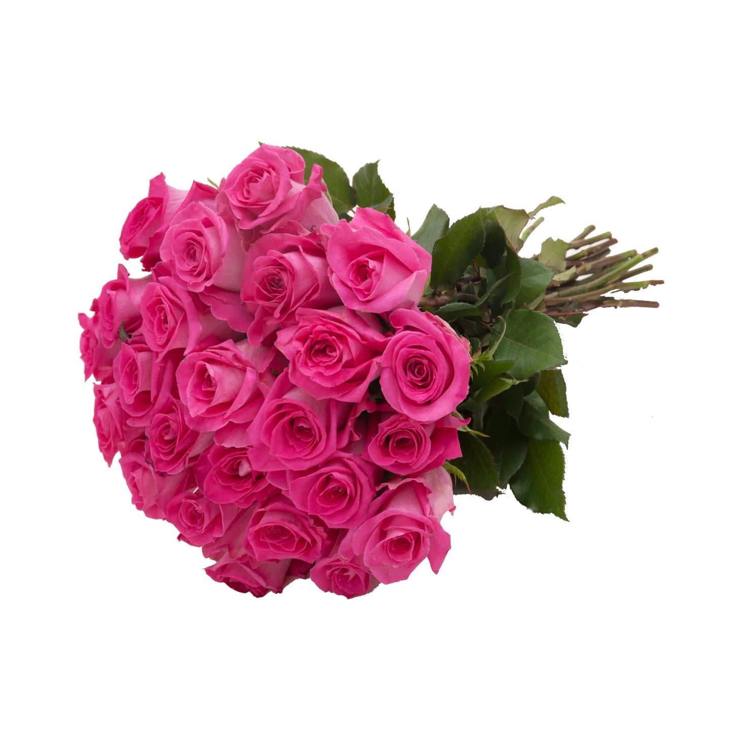 24 Pink Rose Bouquet