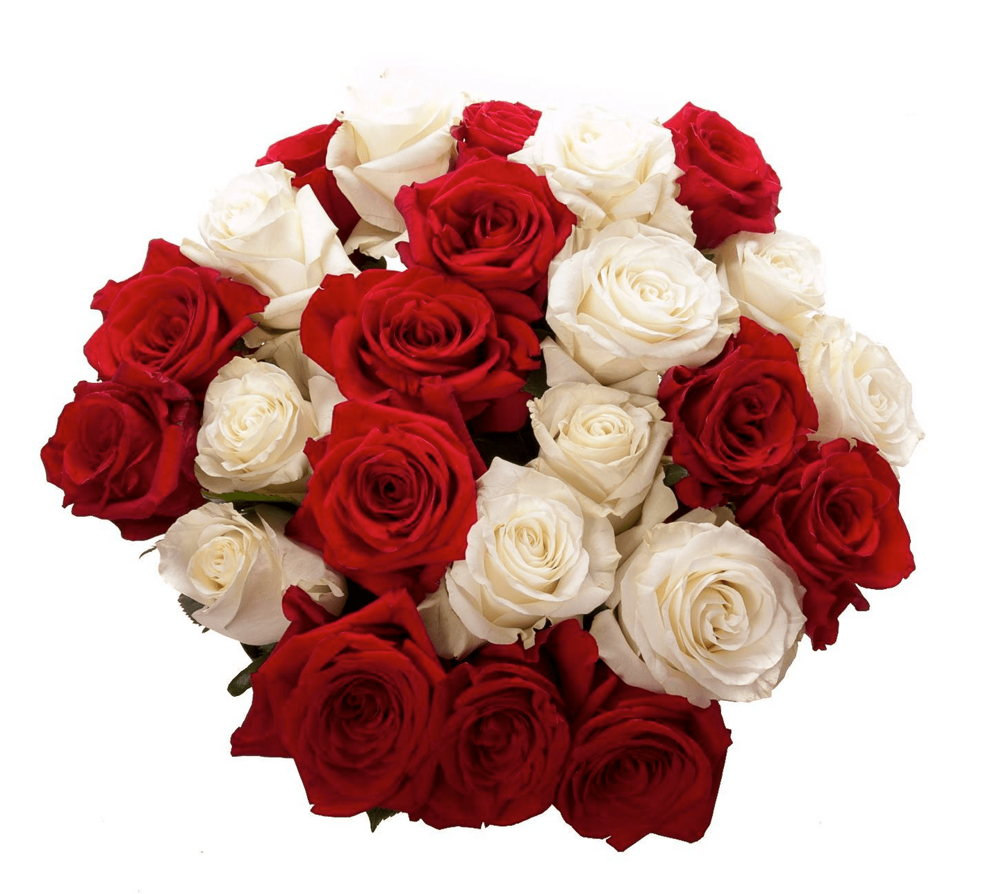 24 Red and White Rose Bouquet