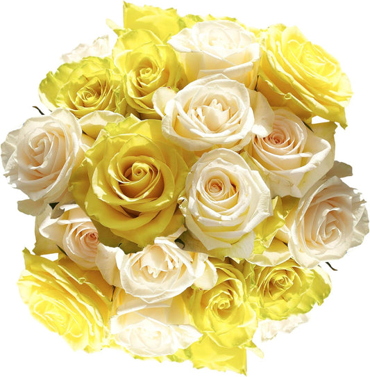 24 Yellow and White Rose Bouquet