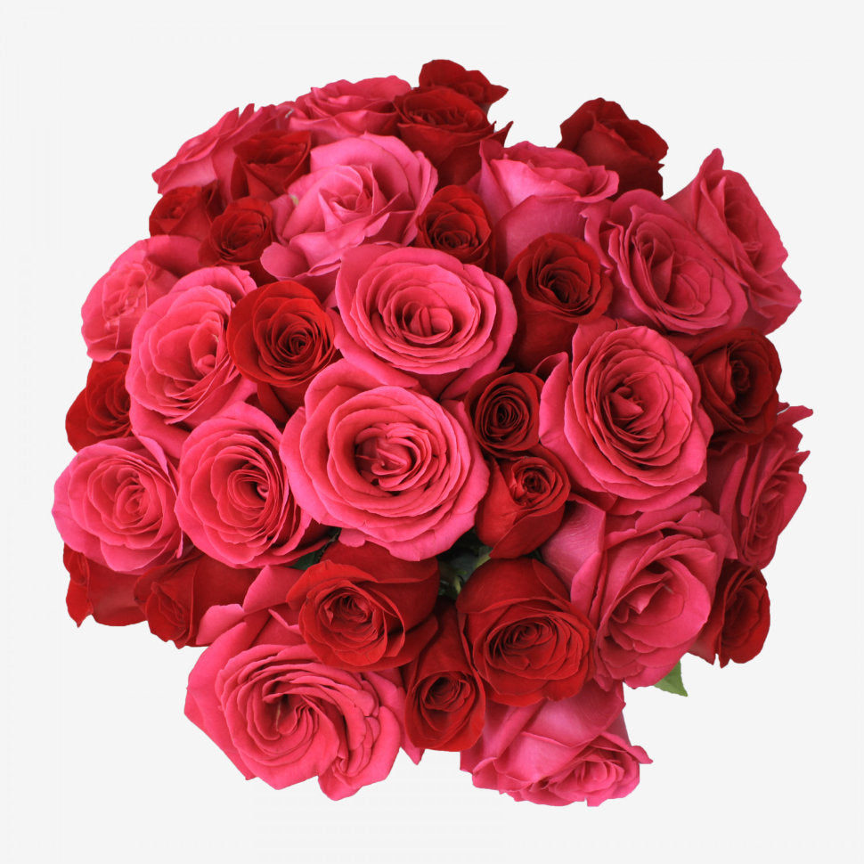 24 Red and Pink Rose Bouquet