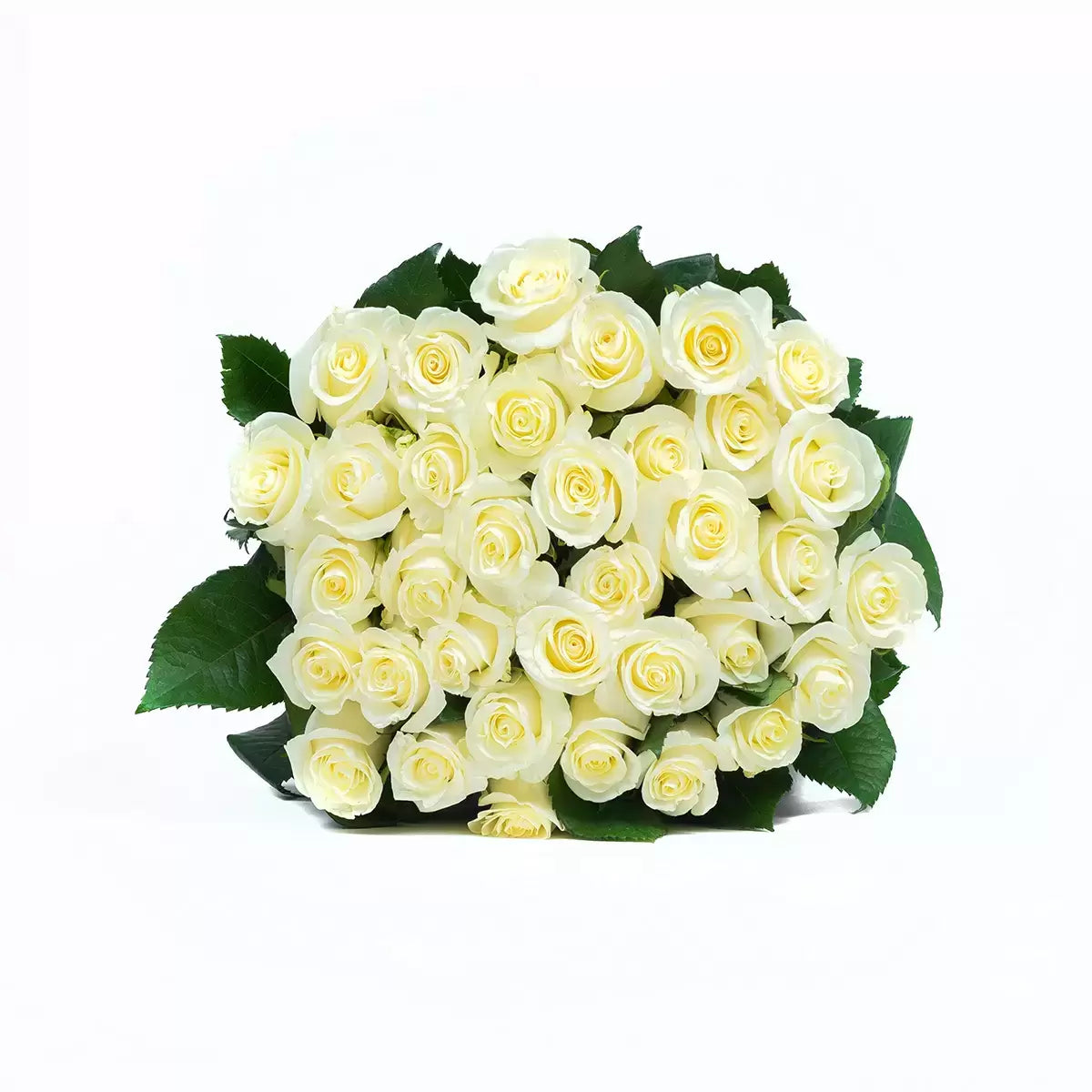 36 White Rose Bouquet