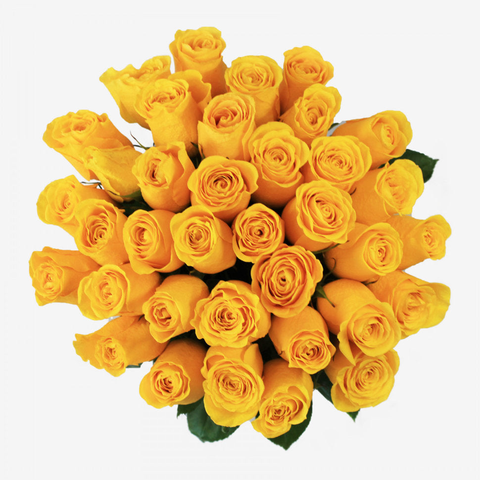 36 Yellow Rose Bouquet