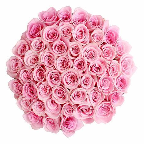 50 Pink Rose Bouquet