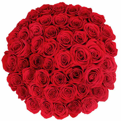 50 Red Rose Bouquet