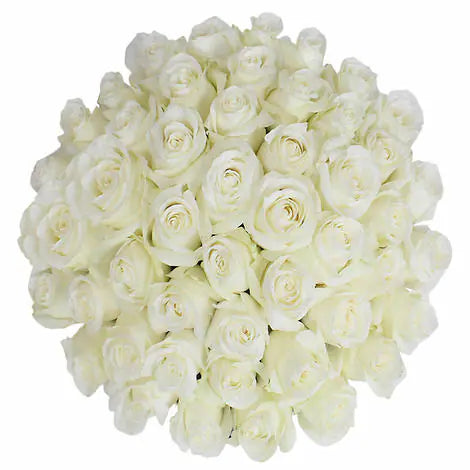 50 White Rose Bouquet