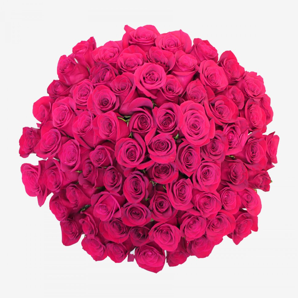 72 Pink Rose Bouquet