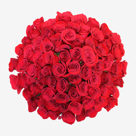 72 Red Rose Bouquet