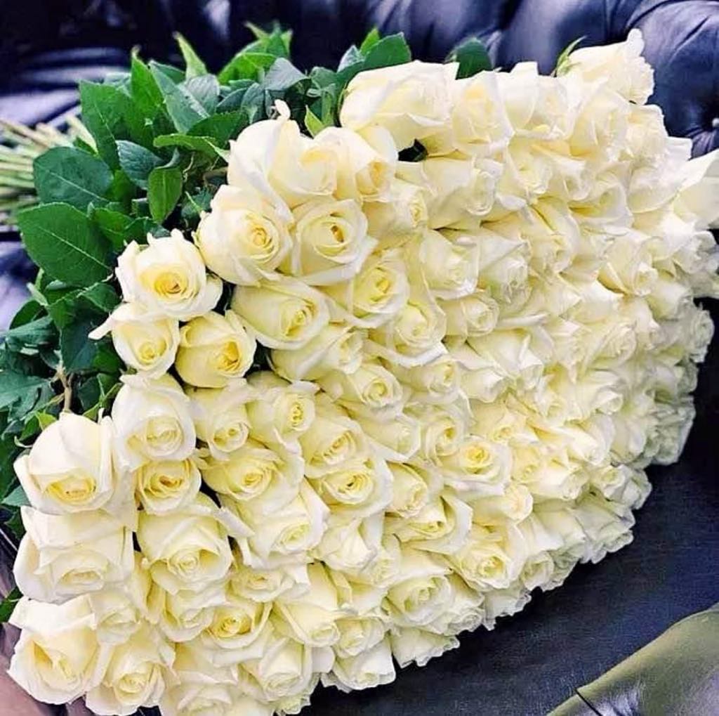 72 White Rose Bouquet