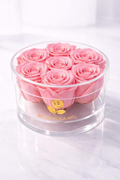 Rose Vault - Round