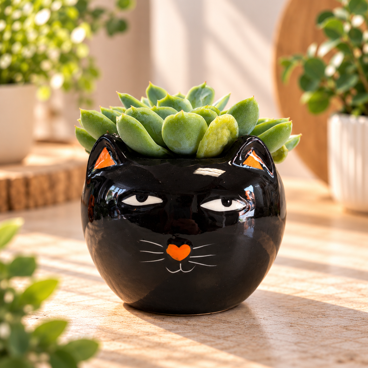 Mini Spooky Cat Succulent in 2.5 inch black ceramic cat planter – Bella Rosa MTL Montreal