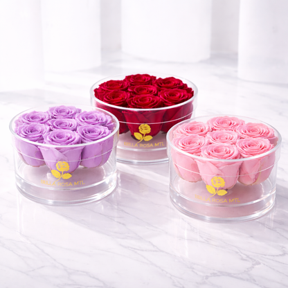 Rose Vault - Round