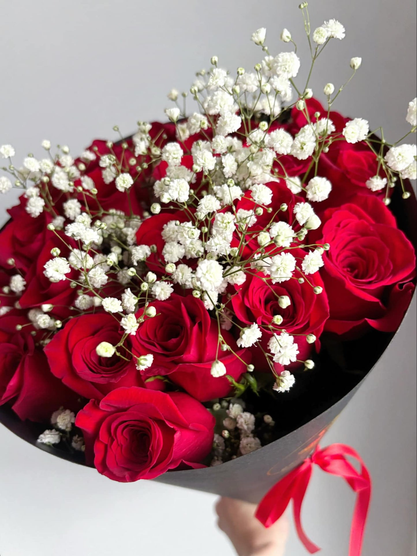 "Classic" 24 Red