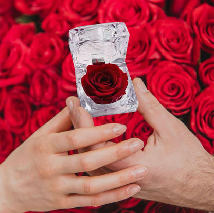 "Tiny Feelings" Red Preserved Rose