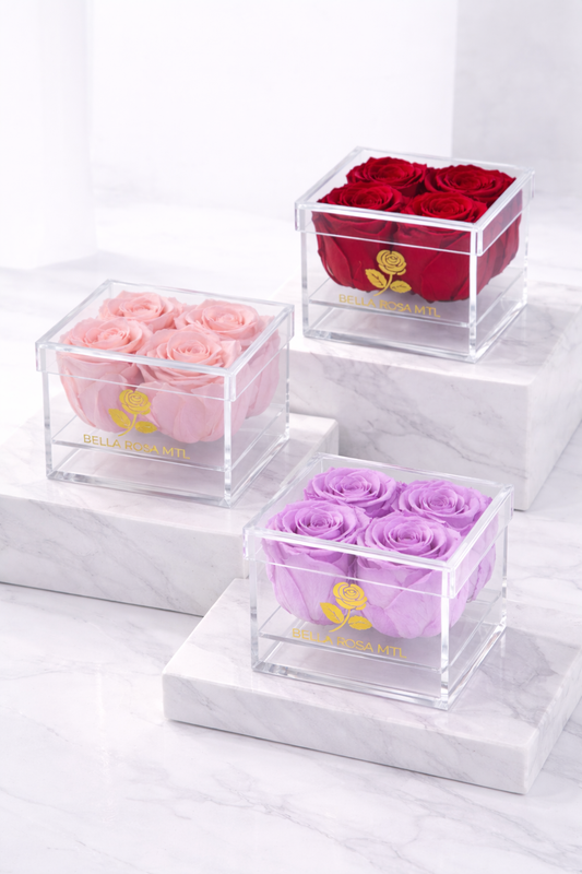 Rose Vault – Square