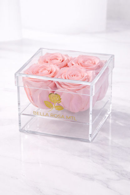 Rose Vault – Square