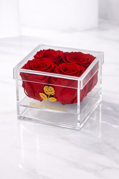 Rose Vault – Square