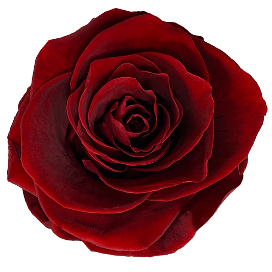 Add Extra Rose(s)
