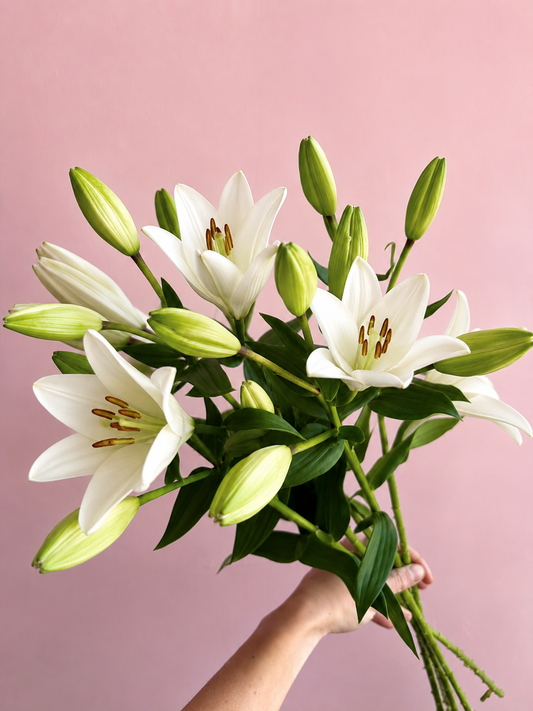 White Lily bouquet ( fragrance - free 🌿 )