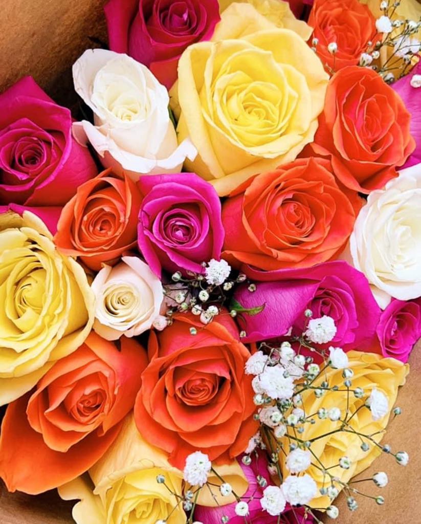 72 Multicolour Rose Bouquet