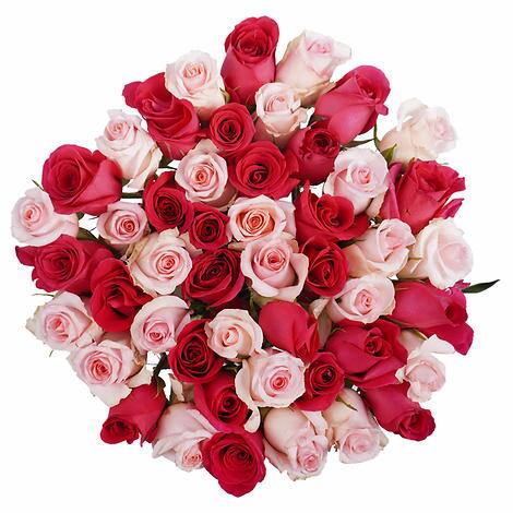 72 Red and Pink Rose Bouquet