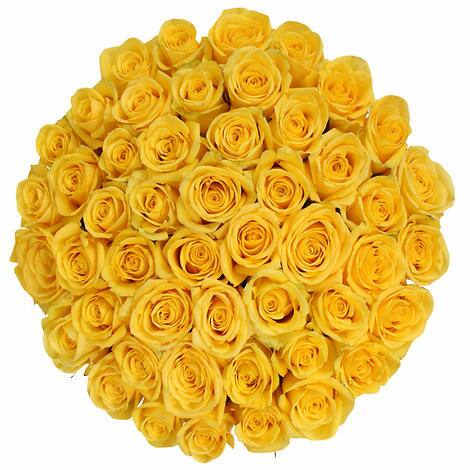 50 Yellow Rose Bouquet